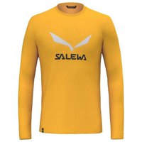 salewa-solidlogo-dryton-long-sleeve-t-shirt