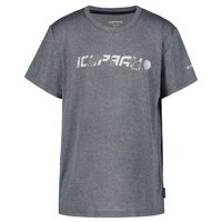 icepeak-kincaid-short-sleeve-t-shirt