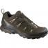 Salomon X Ultra LTR Hiking Shoes