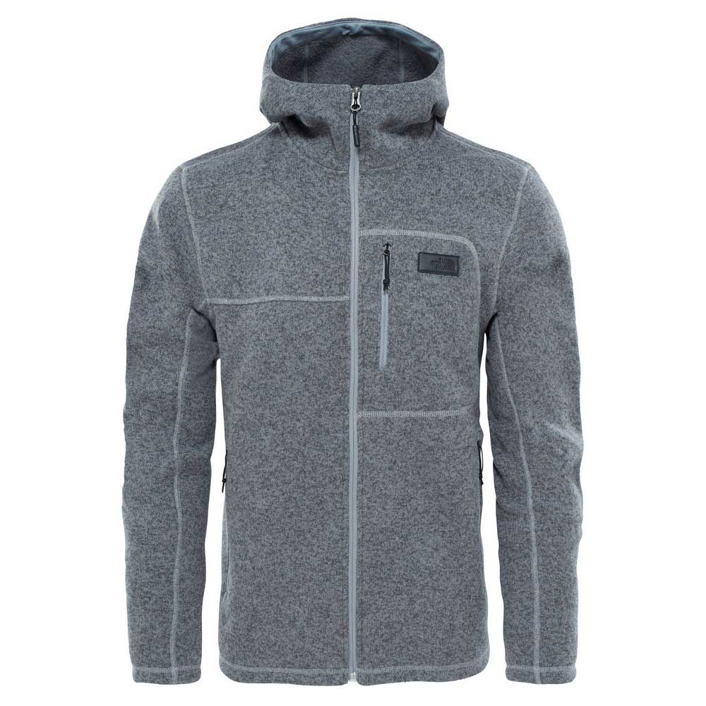 the north face gordon lyons hoodie 
