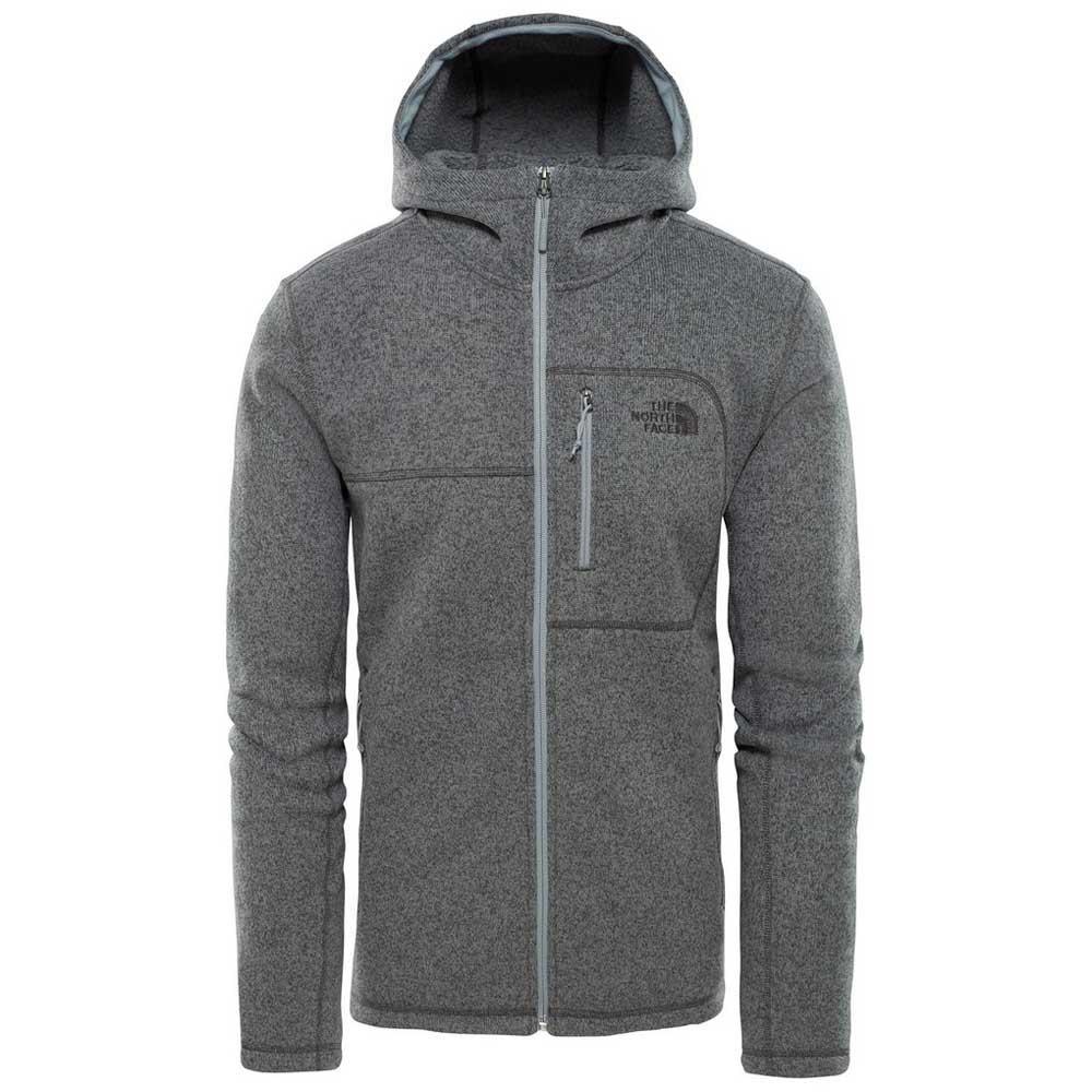The north face Gordon Lyons Hoodie Gris 