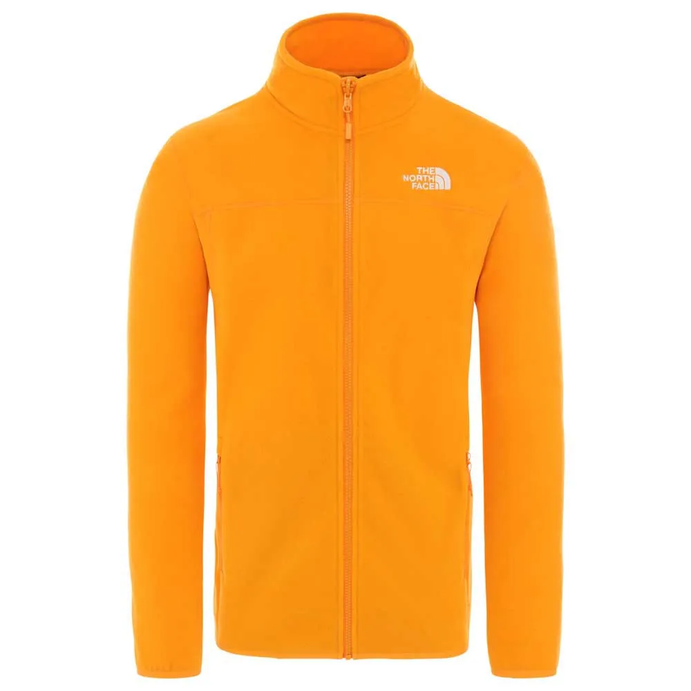 the north face 100 glacier