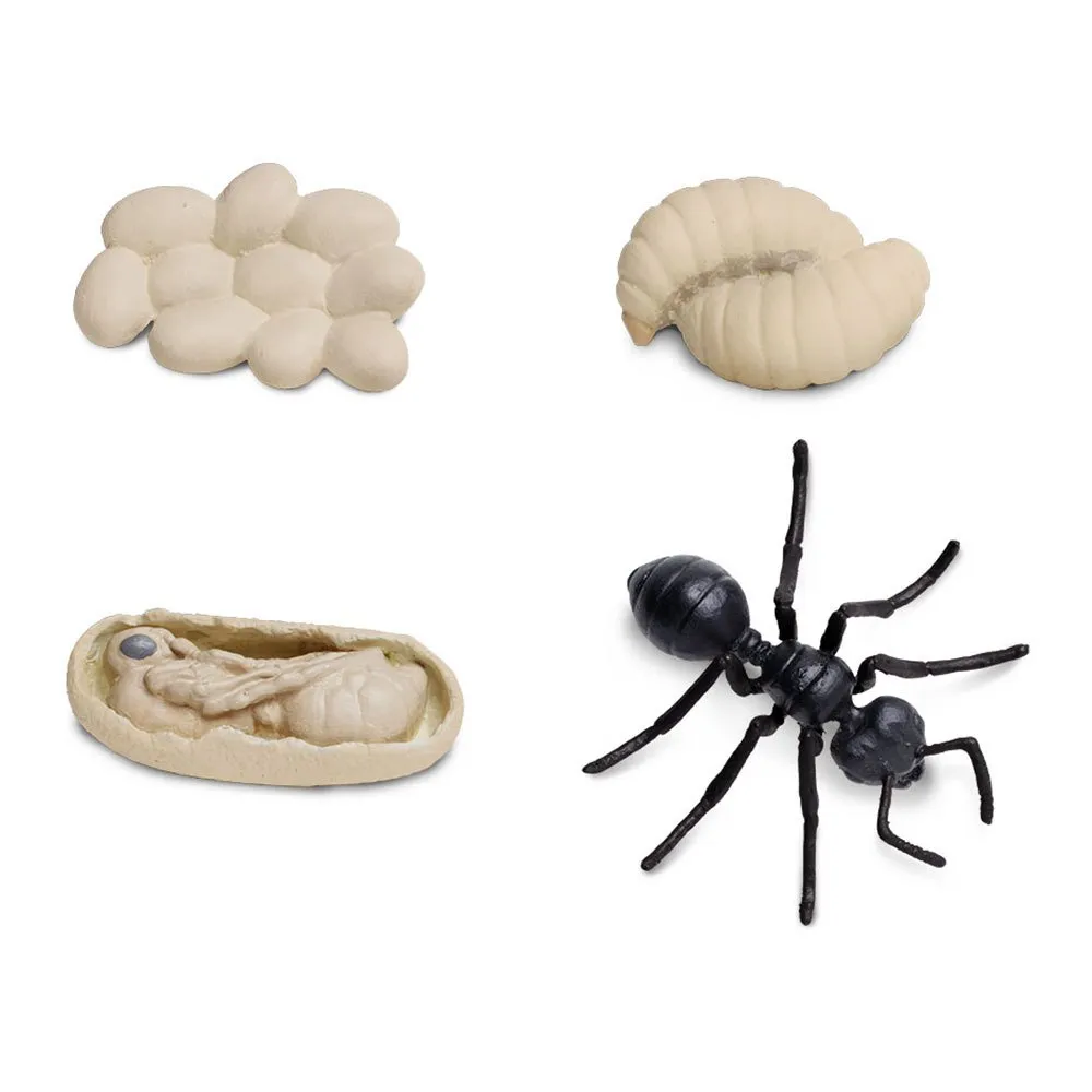 safari ltd life cycle of a monarch butterfly