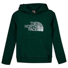 The north face Biner Graphic Capuchon