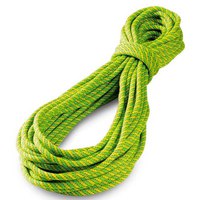 tendon-ambition-9.8-mm-standard-rope
