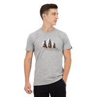 salewa-t-shirt-a-manches-courtes-lines-graphic