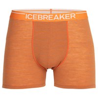 icebreaker-tronco-anatomica