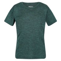 regatta-fingal-short-sleeve-t-shirt