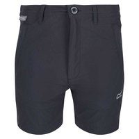 regatta-shorts-highton