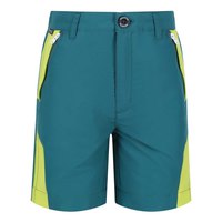 regatta-sorcer-mount-ii-shorts