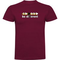 kruskis-kortarmad-t-shirt-be-different-trek