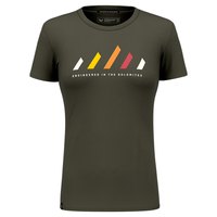 salewa-pure-stripes-dry-short-sleeve-t-shirt