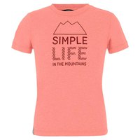 salewa-t-shirt-a-manches-courtes-simple-life-dry