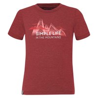 salewa-simple-life-dry-short-sleeve-t-shirt
