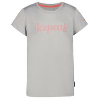 icepeak-kensett-short-sleeve-t-shirt