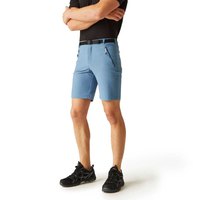 regatta-xert-stretch-iii-shorts