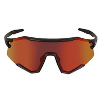 alpine-pro-barde-sonnenbrille