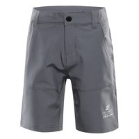 alpine-pro-bako-shorts