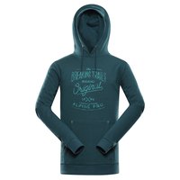 alpine-pro-kytor-hoodie