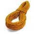 Tendon Canyon Wet 10 mm Rope