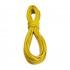 Tendon ロープ Alpine 7.9 Mm Standard