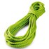 Tendon Ambition 9.8 mm Standard Rope
