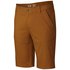 Mountain hardwear Hardwear AP 11´´ Shorts Pants