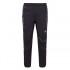 The north face Storm Stow Pants