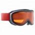 Alpina Challenge 2.0 DH M40 Ski Goggles
