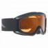 Alpina Carat D Ski Goggles