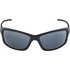 Alpina Dyfer Sunglasses