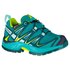 Salomon Xa Pro 3D Cswp Trail Running Shoes