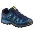 Salomon X-Ultra Goretex Hiking Shoes