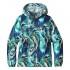 Patagonia Veste Light and Variable Hoody