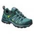 Salomon X Ultra 3 Goretex hiking shoes