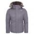 The north face Greenland Down Jacket