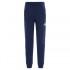 The north face Pantalons Fleece Youth