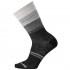 Smartwool Calcetines Sulawesi Stripe