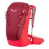 Salewa Alp Trainer 25L Backpack
