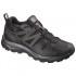 Salomon X Radiant Goretex Hiking Shoes