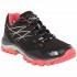 The north face Hedgehog Fastpack Goretex Hiking Shoes