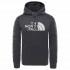 The North Face Surgent Halfdome Po Hoodie