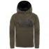The north face Surgent Hoodie