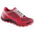 Dynafit Trailbreaker Goretex Trail Running Shoes