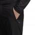 adidas Terrex Liteflex Regular Spodnie