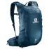 Salomon Trailblazer 20L backpack