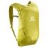 Salomon Trailblazer 10L Hydration Vest Backpack