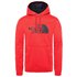 The north face Surgent Eu Hoodie