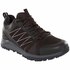 The North Face Litewave Fastpack II Goretex Hiking Shoes