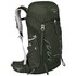 Osprey Talon 33L Backpack
